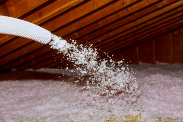 Best Insulation Materials and Products in Rayville, LA